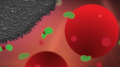 Teknologi alas paku graphene dan magnet kulkas untuk melawan resistensi antibiotik